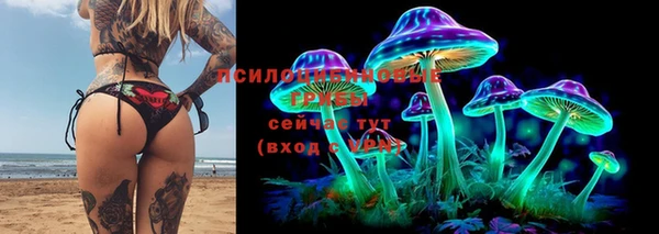 прущие крисы Алексин
