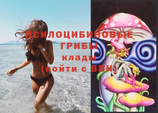 дурь Алзамай