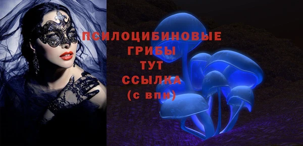 меф Арсеньев