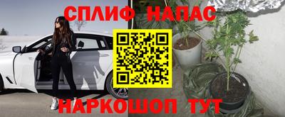 стафф Прохладный