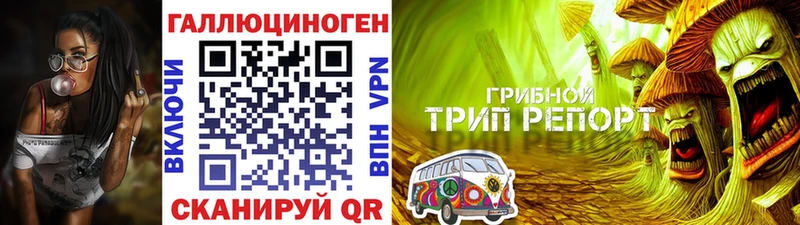 Галлюциногенные грибы Cubensis  darknet Telegram  Асбест 