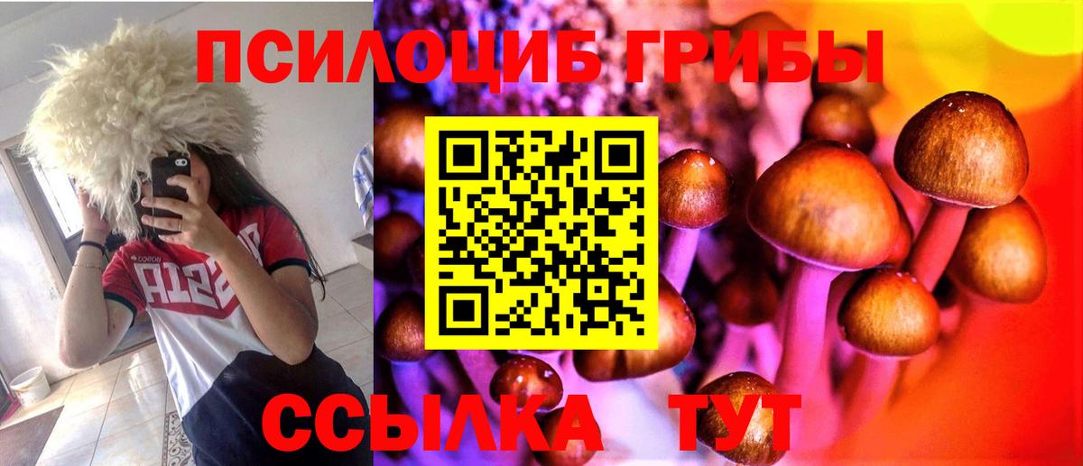 Галлюциногенные грибы MAGIC MUSHROOMS  Вход с VPN  Асбест 